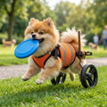Adjustable dog wheelchair3
