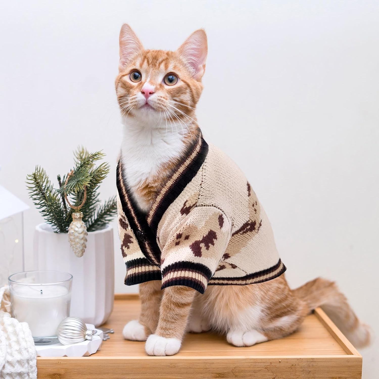 Bear Pattern Dog Cardigan Sweater
