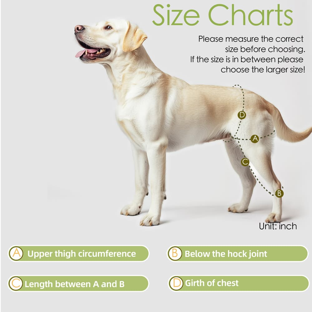 Breathable dog leg support