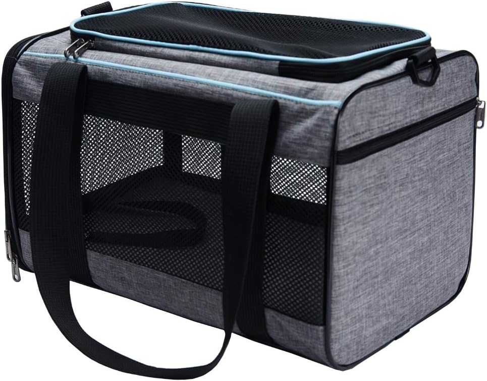 Cat carrier for vet visits