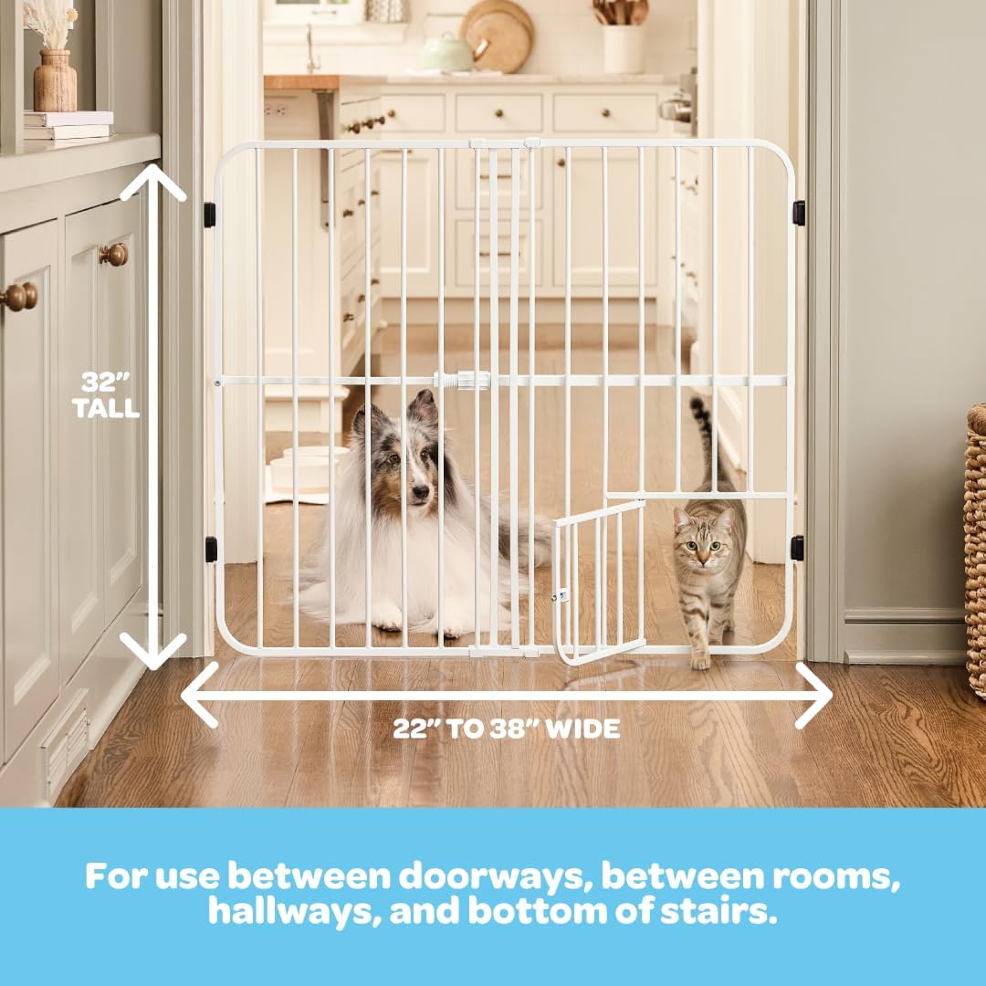Dog Gate
