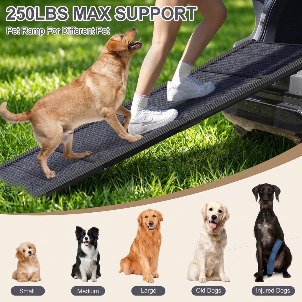 Dog Ramp1
