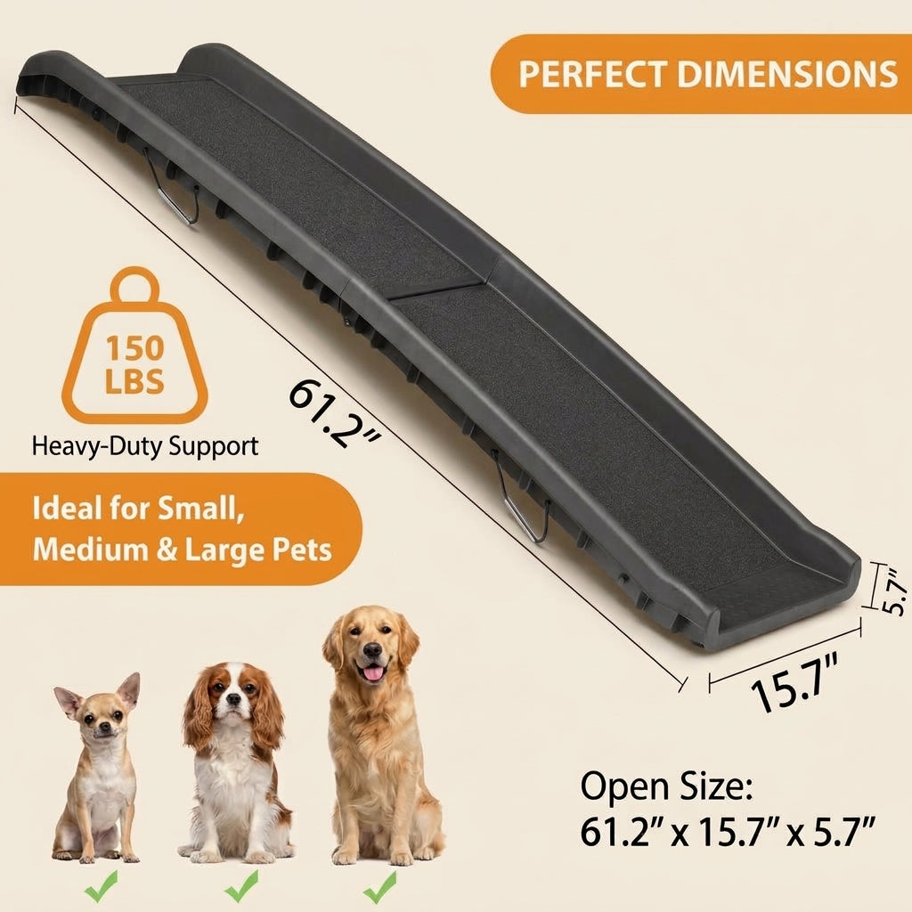 Dog car ramp
1