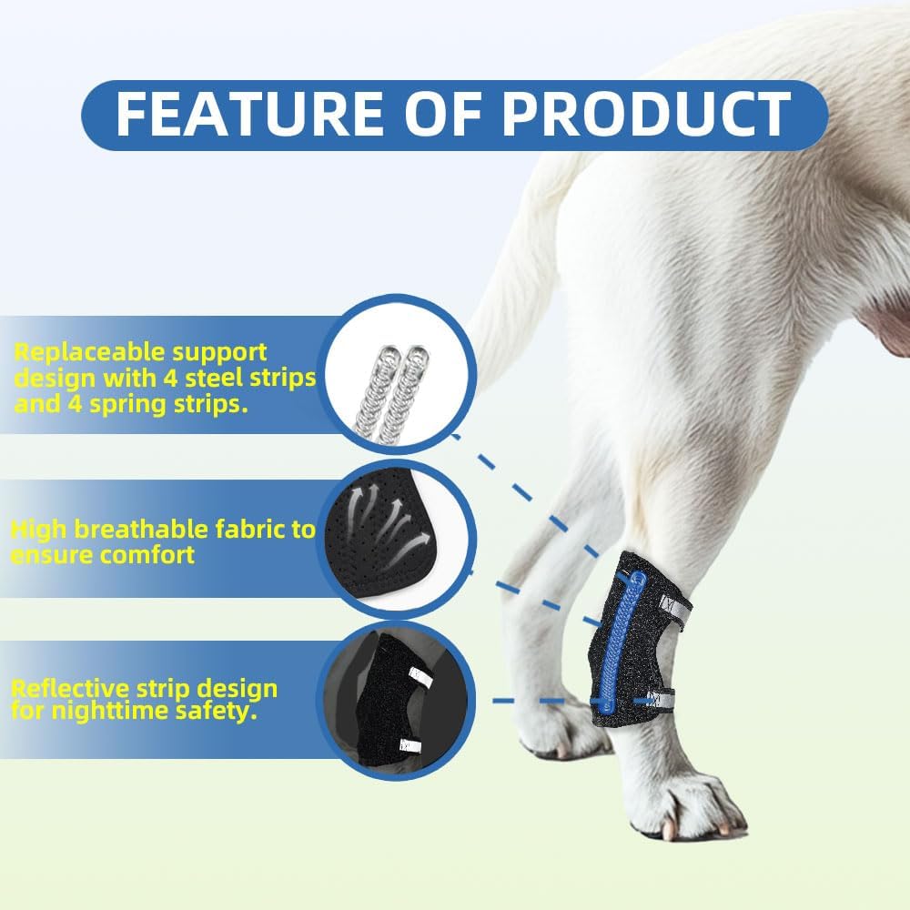 Dog hock brace for stabilization