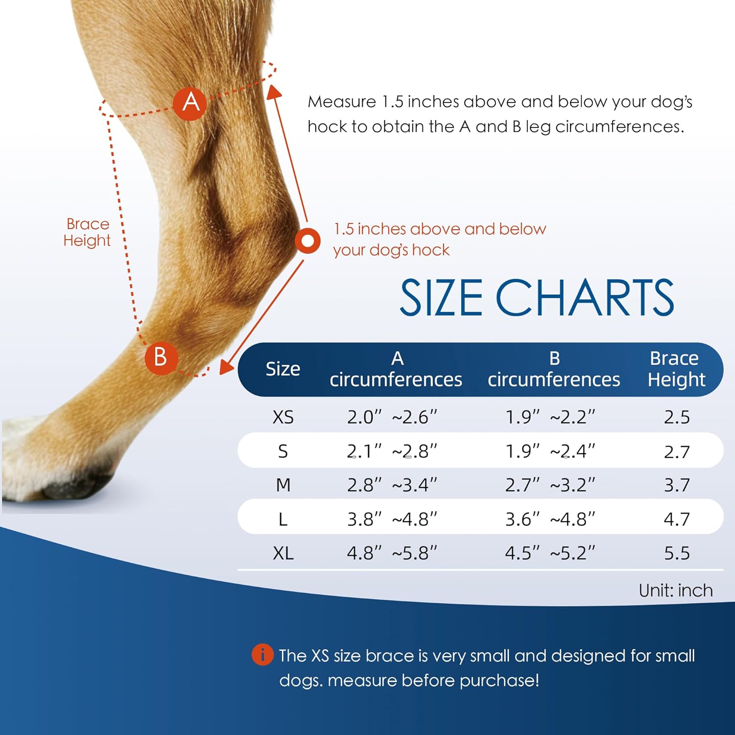 Dog hock brace for stabilization1