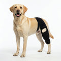 Dog rear leg brace