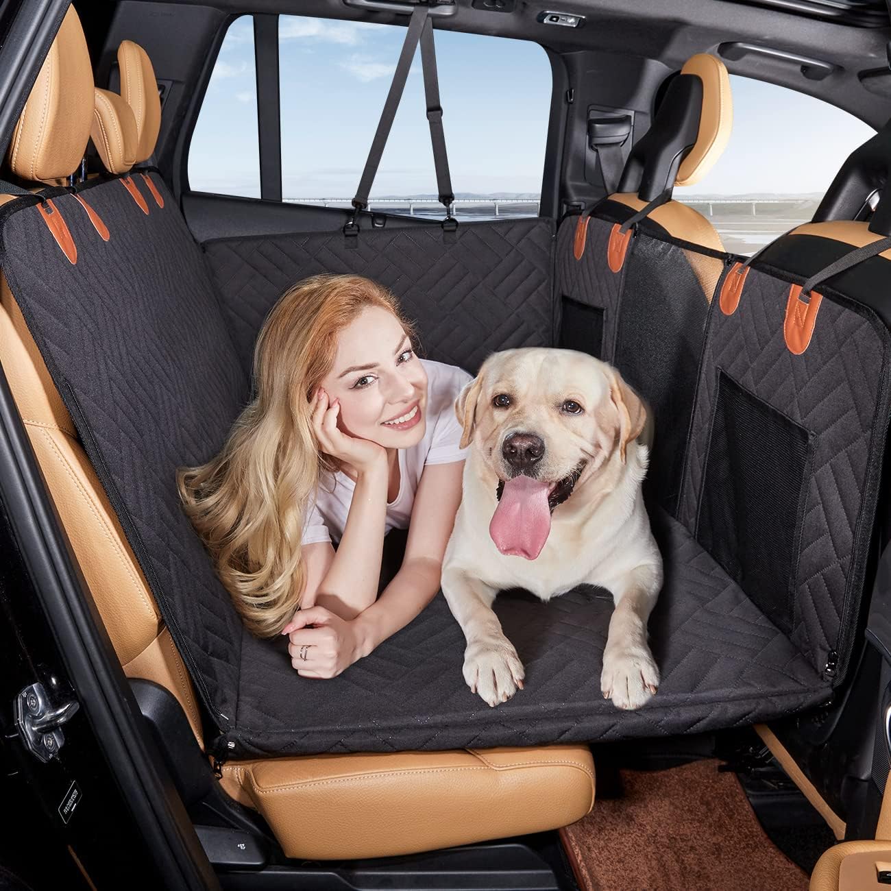 Dog seat extender
