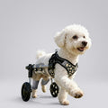 Dog wheelchair1
