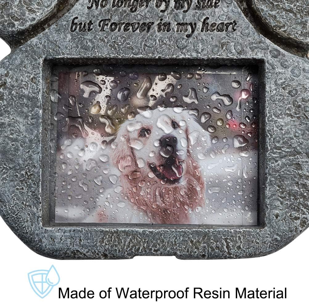 Elevated Pet Feeder1