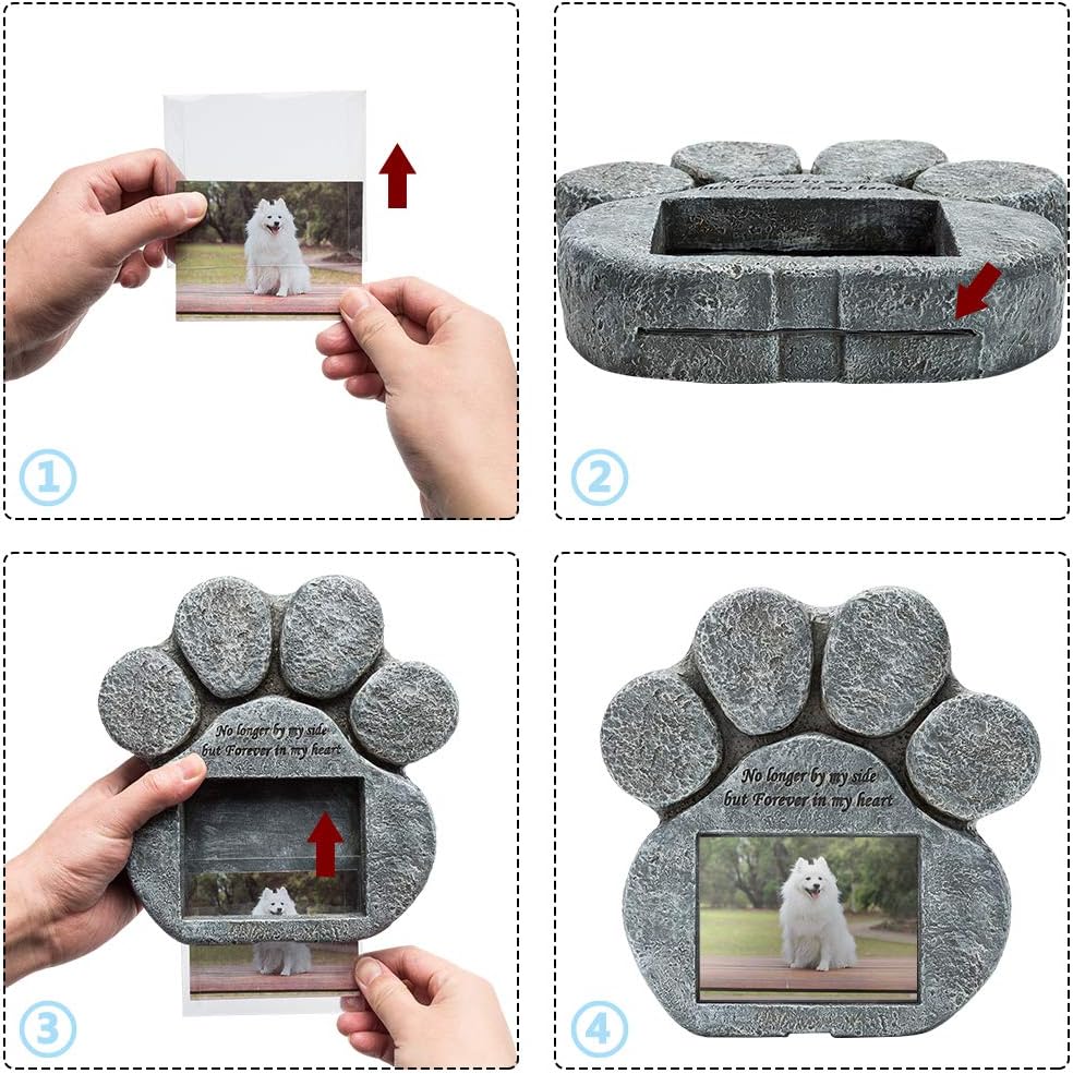 Elevated Stainless Steel Dog Bowls
