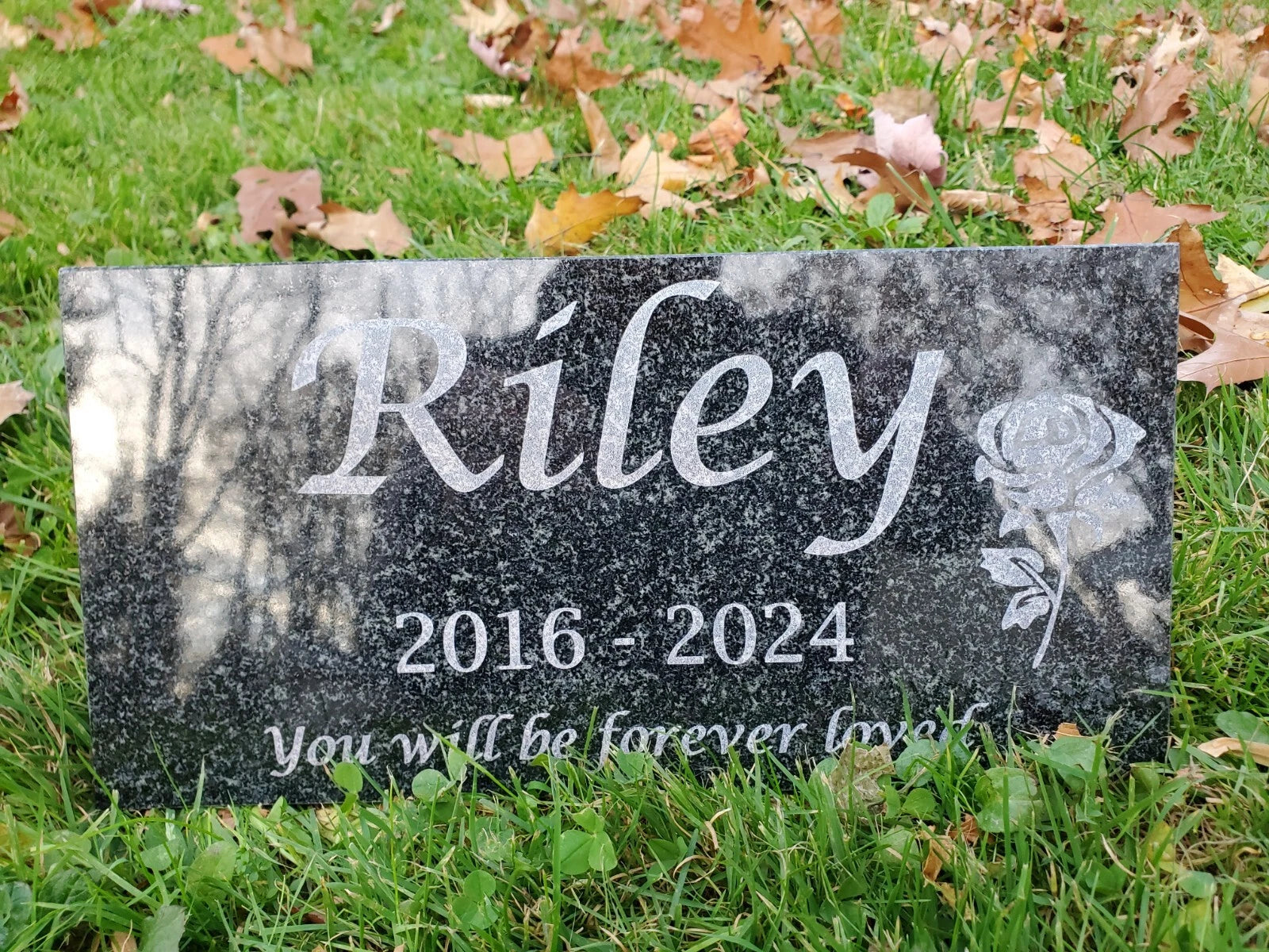 Granite pet stone