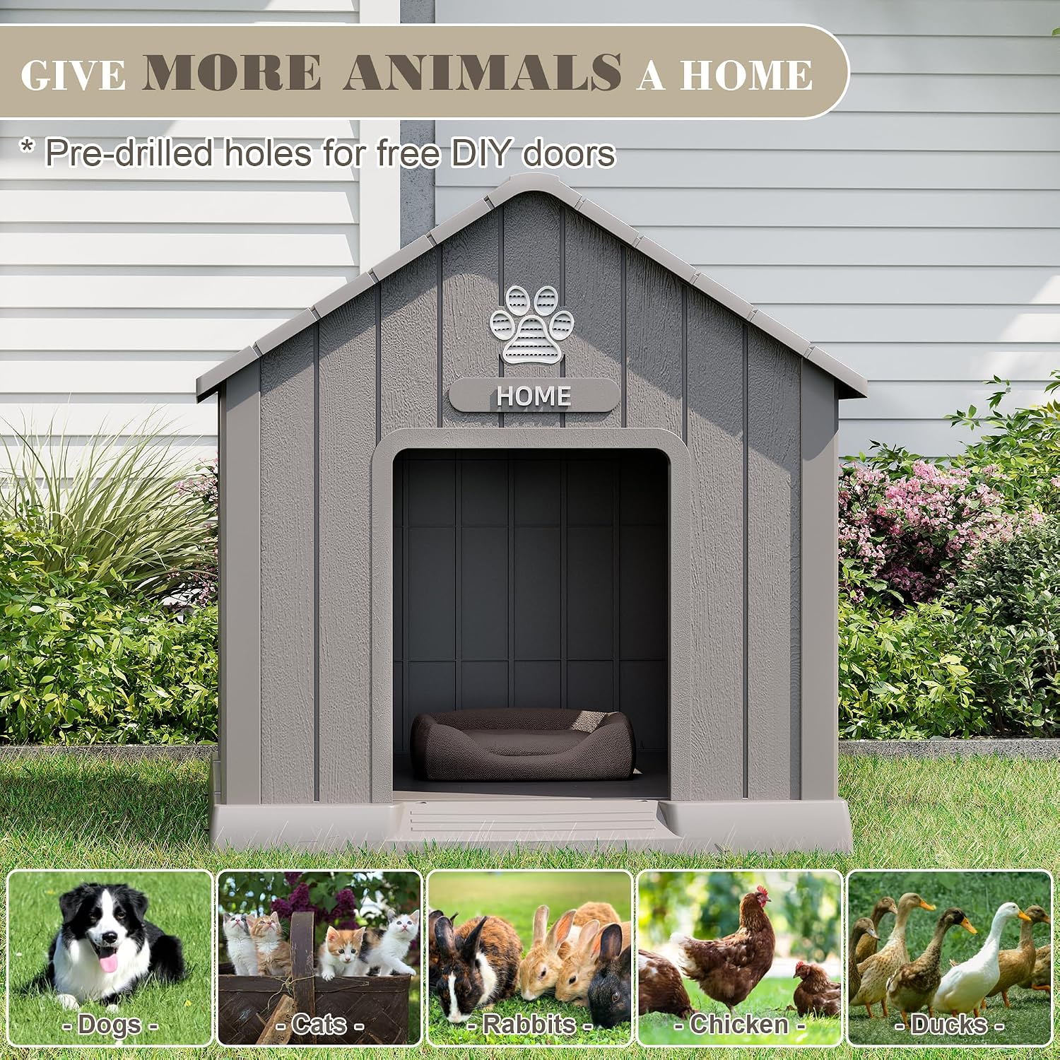 Indoor Dog House