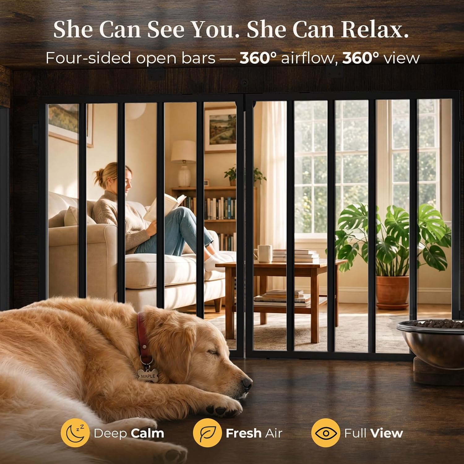 Indoor Dog Kennel