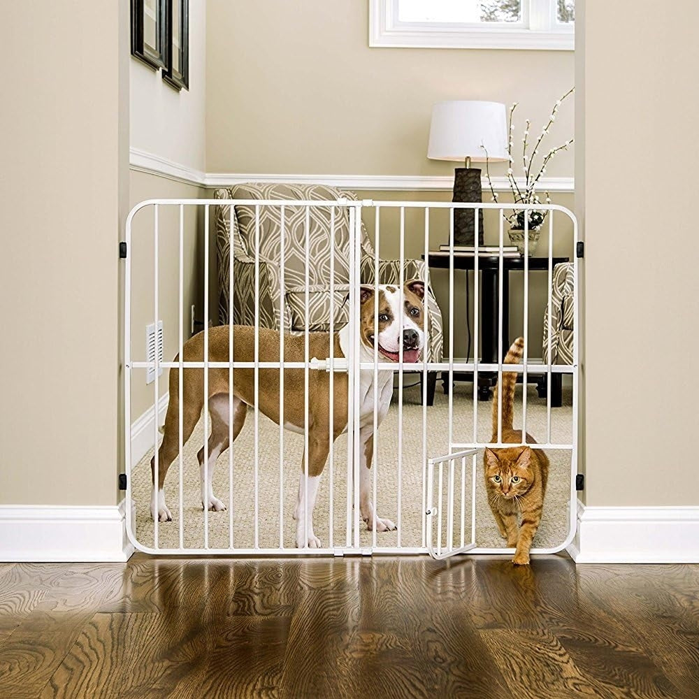 Metal Pet Gate
