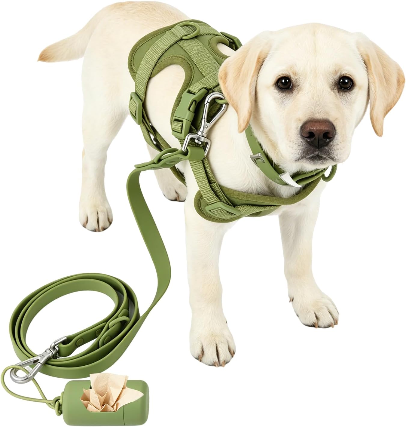No Pull Dog Harness Set With Leash