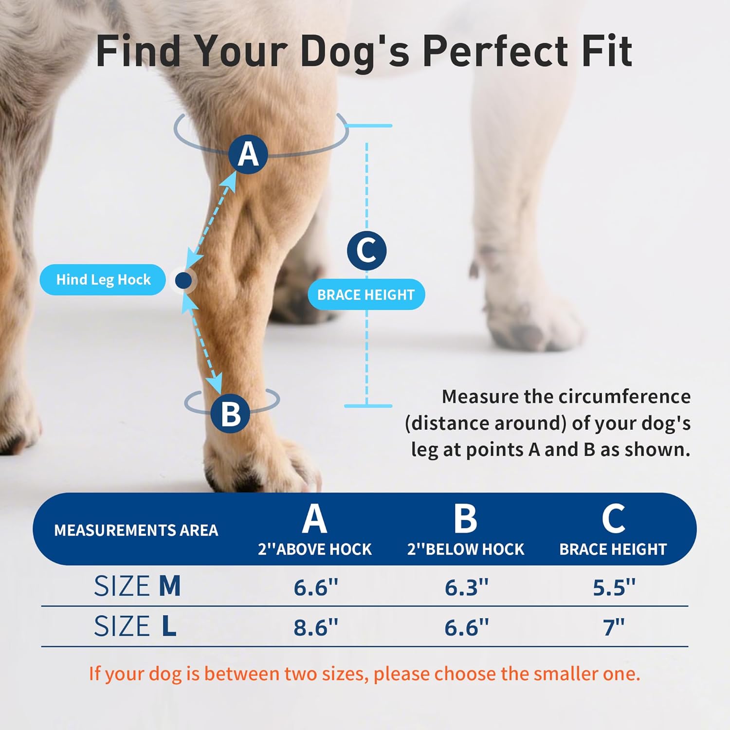 Non-slip dog knee support
