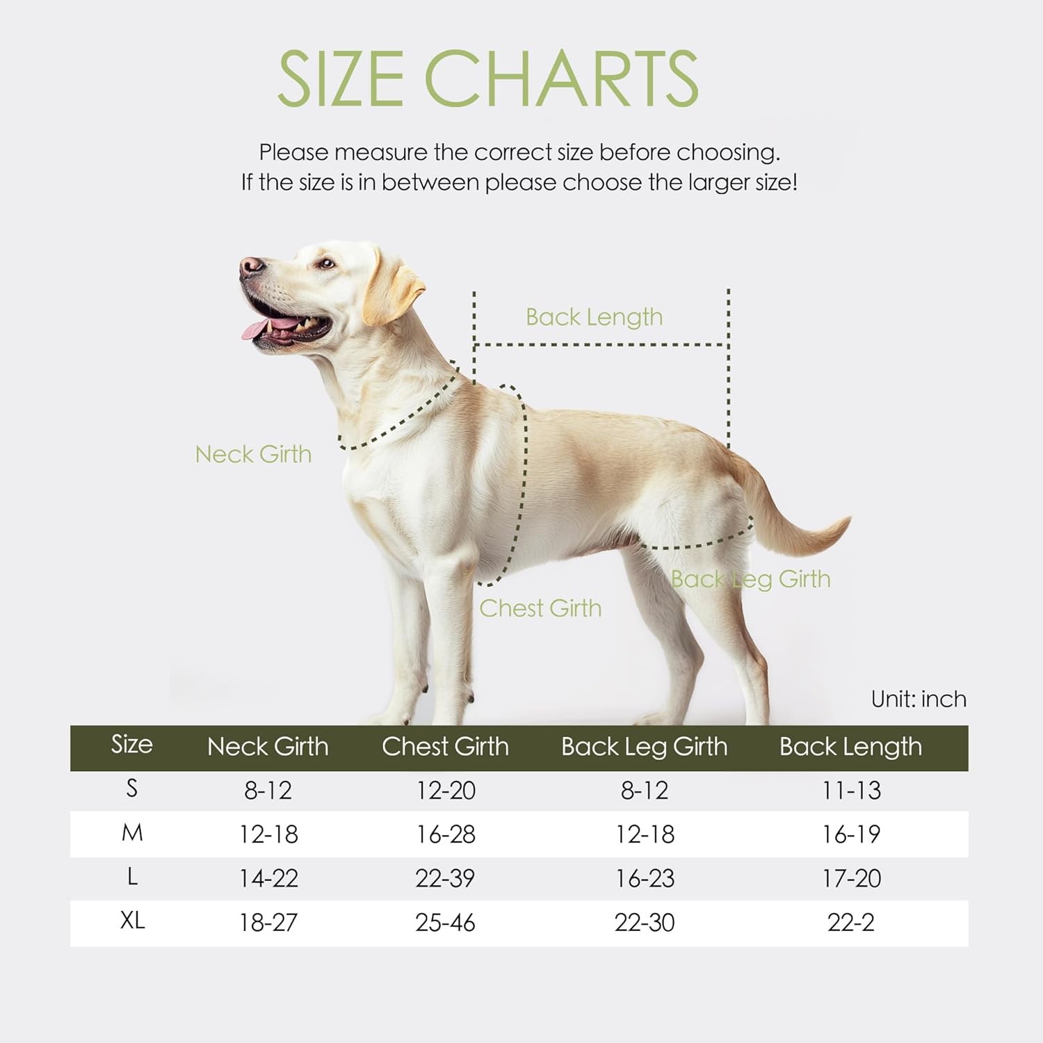 Orthopedic support for dogs	