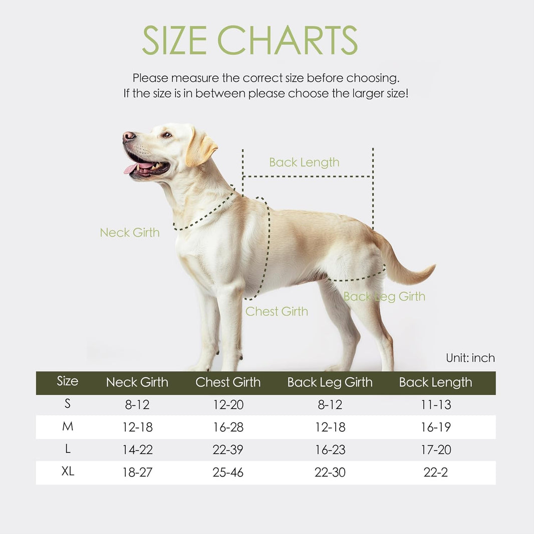Orthopedic support for dogs	