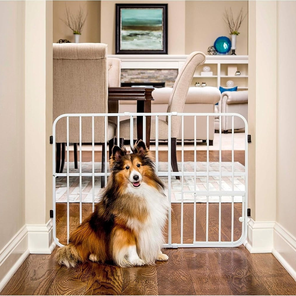 Pet Gate
