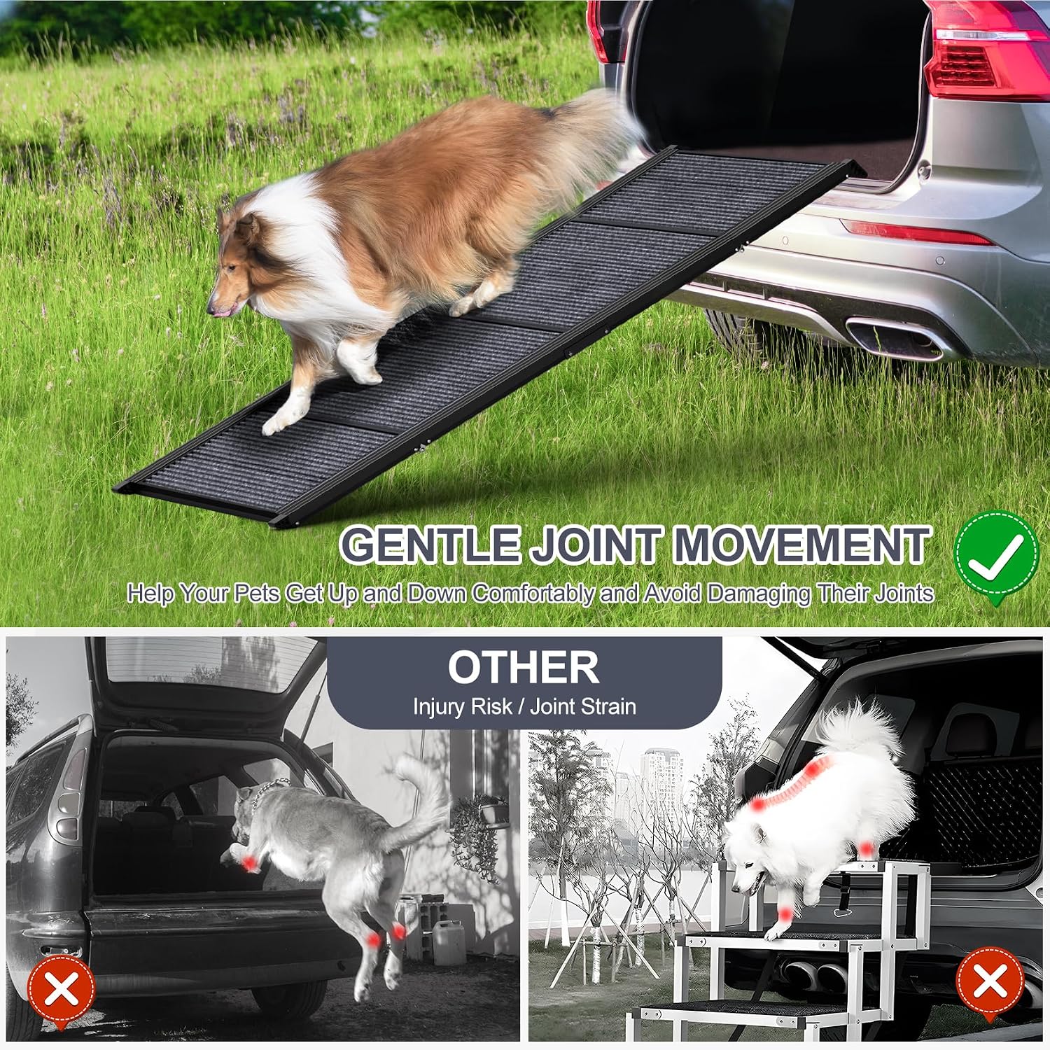 Pet Ramp1