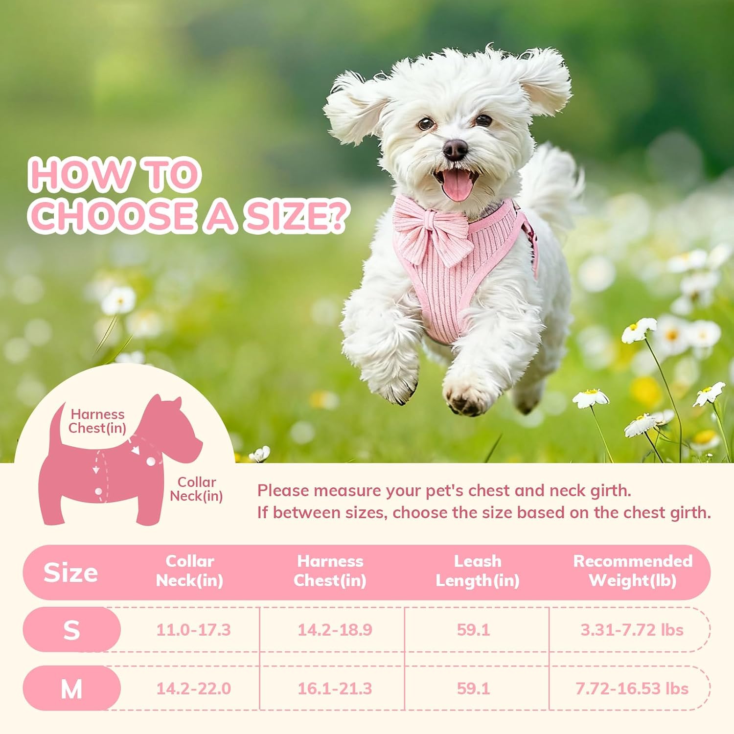 Puppy Harness Set

