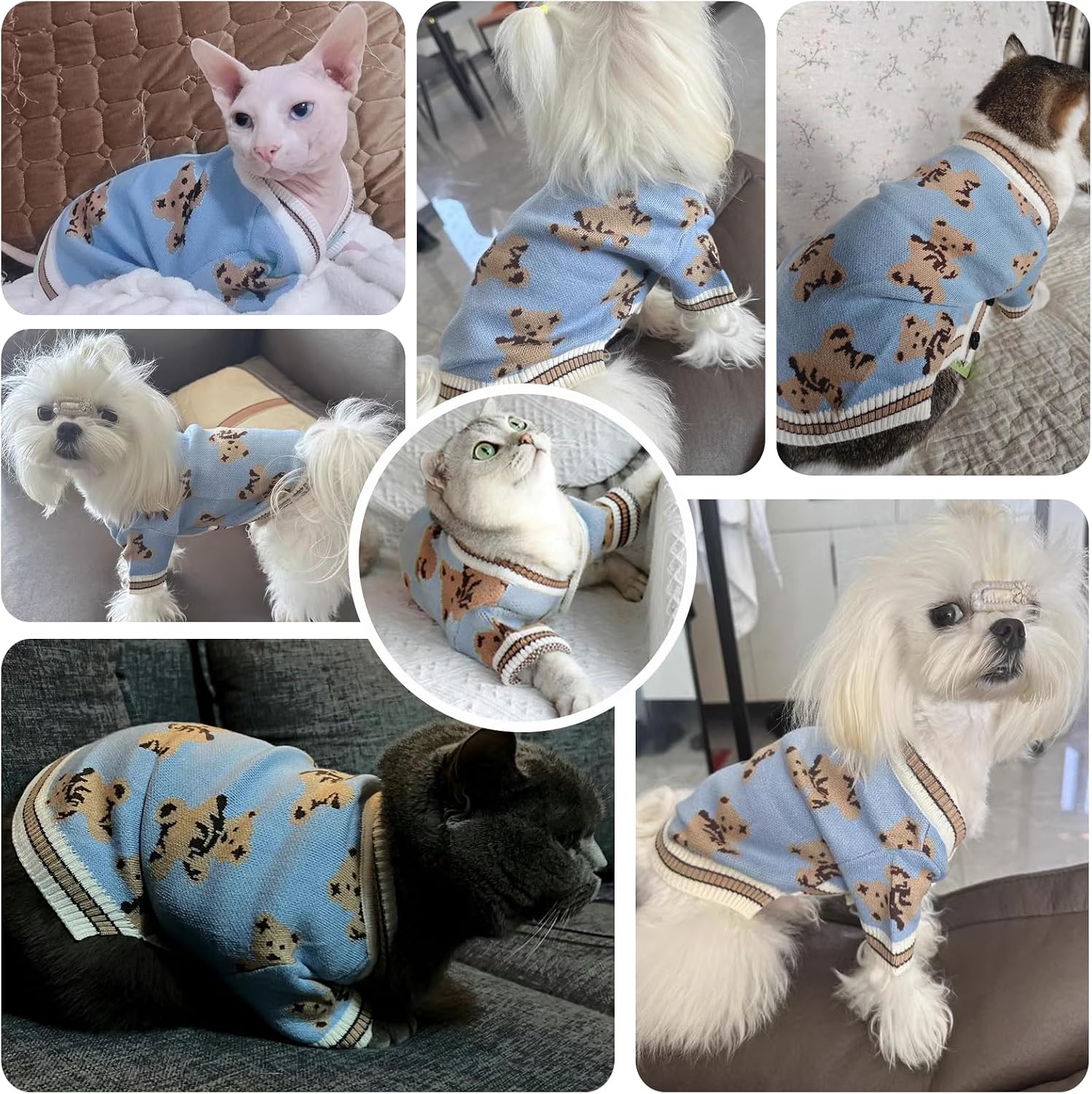 Puppy Winter Clothes