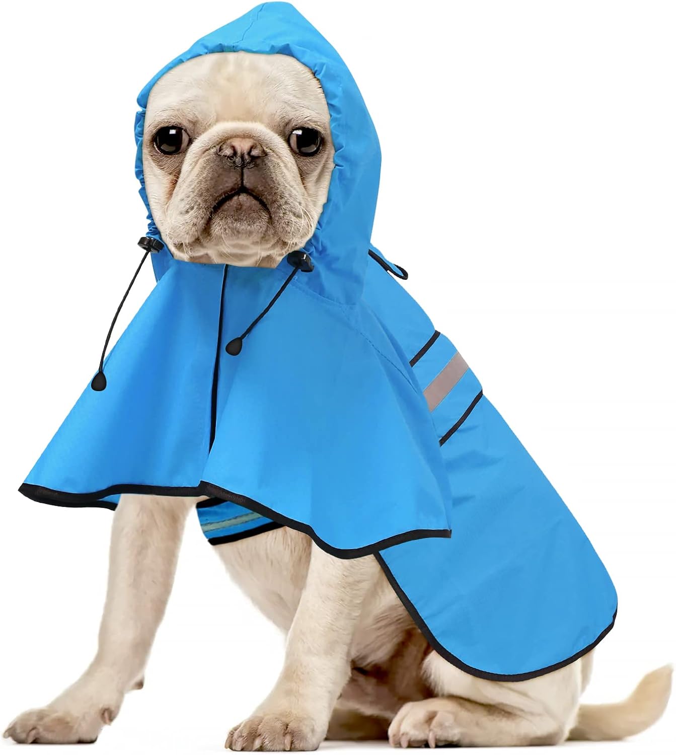 Raincoat for large dogs