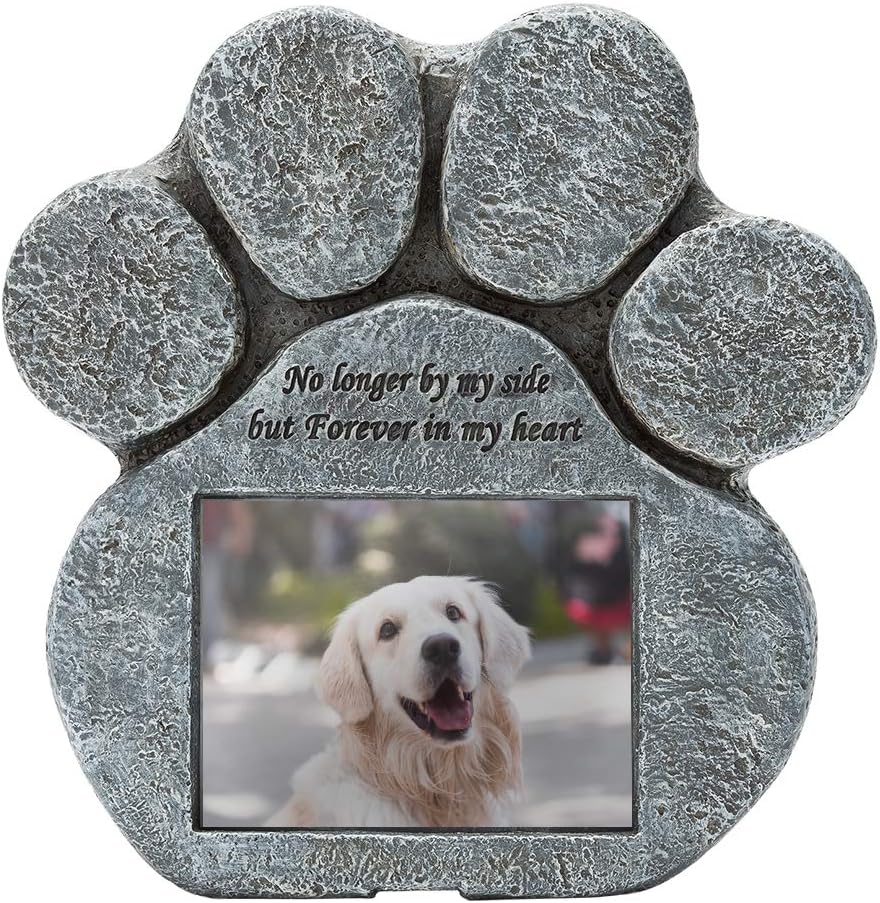 Raised Dog Bowl With Wooden Base
