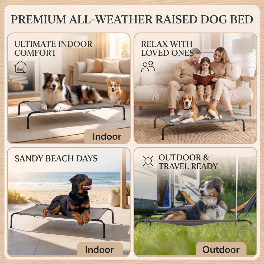 Raised dog bed