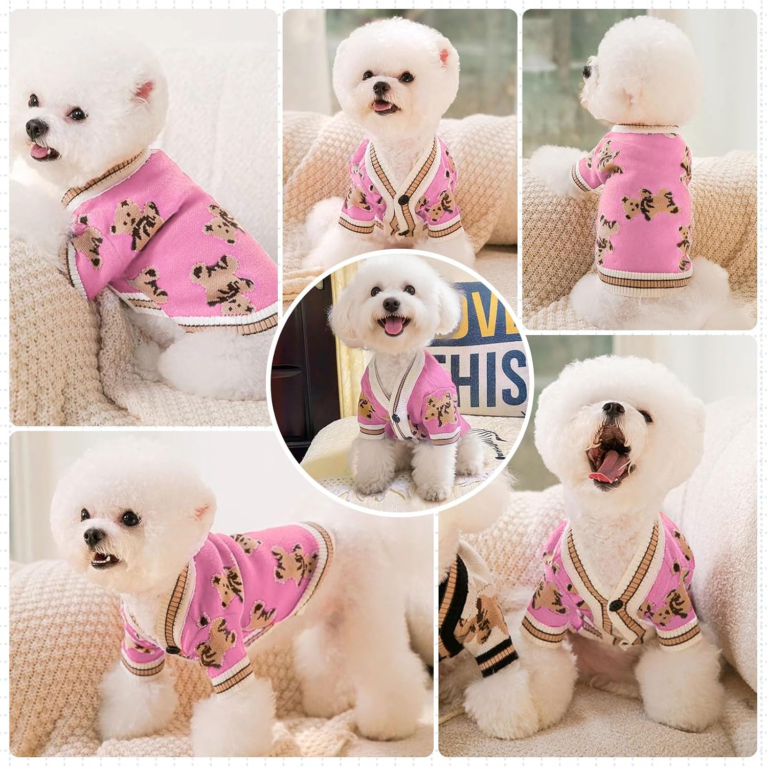 Small Dog Sweater With Buttons