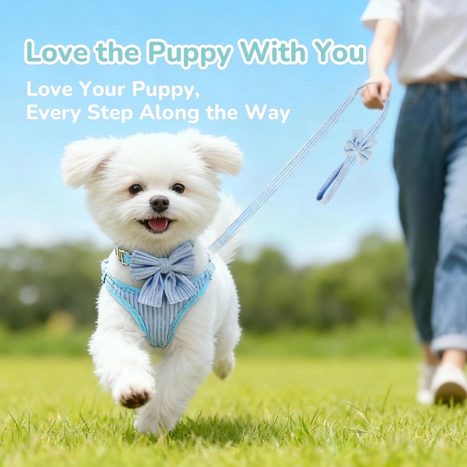 Soft Puppy Harness And Leash Set