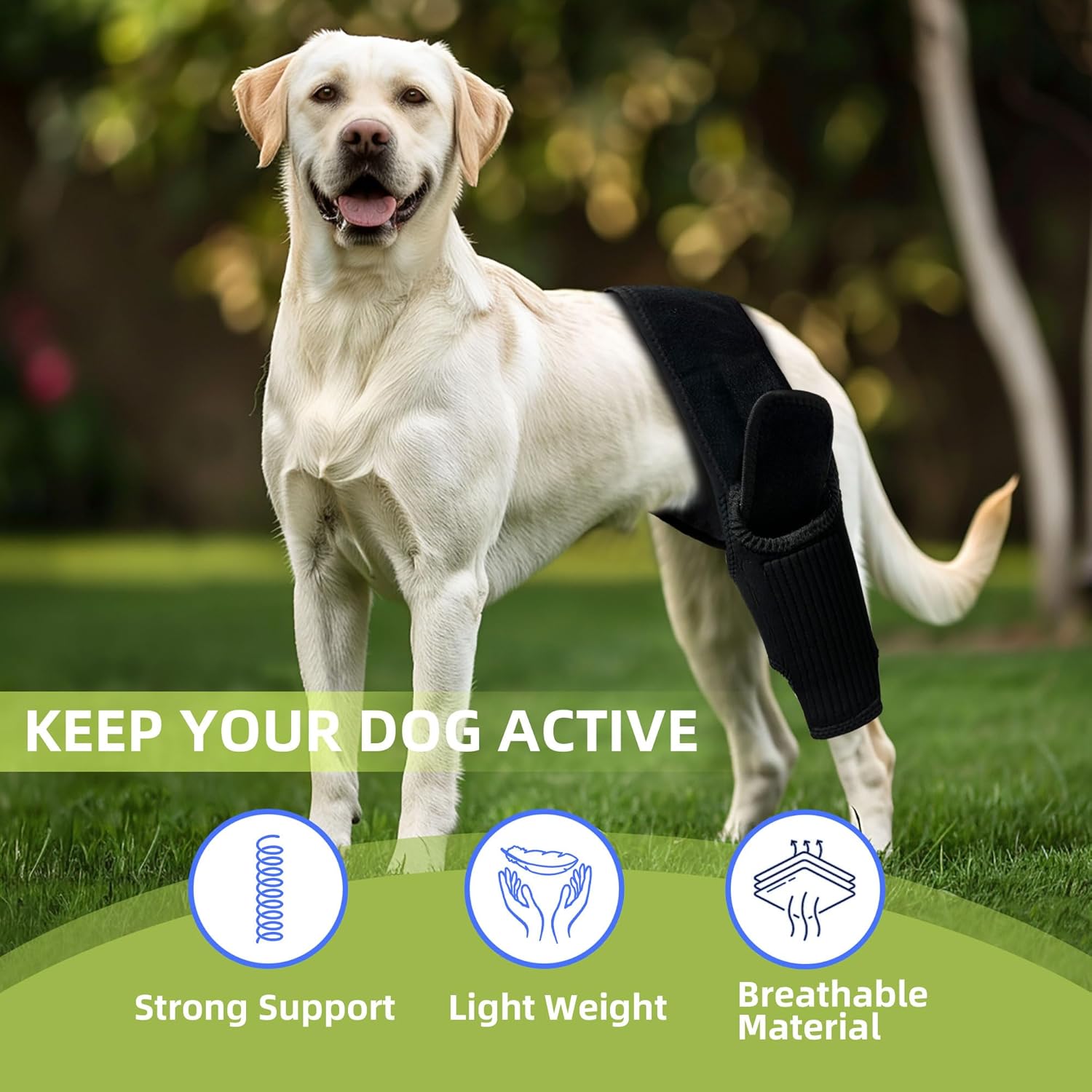 Spring-supported dog leg wrap