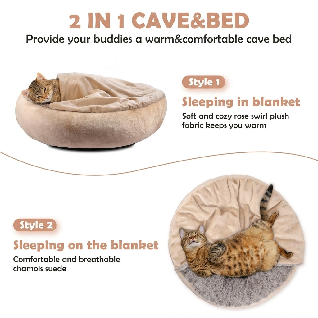 cat bed