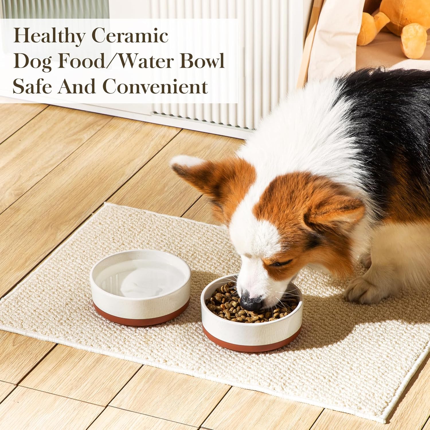ceramic dog bowl to prevent chin acne