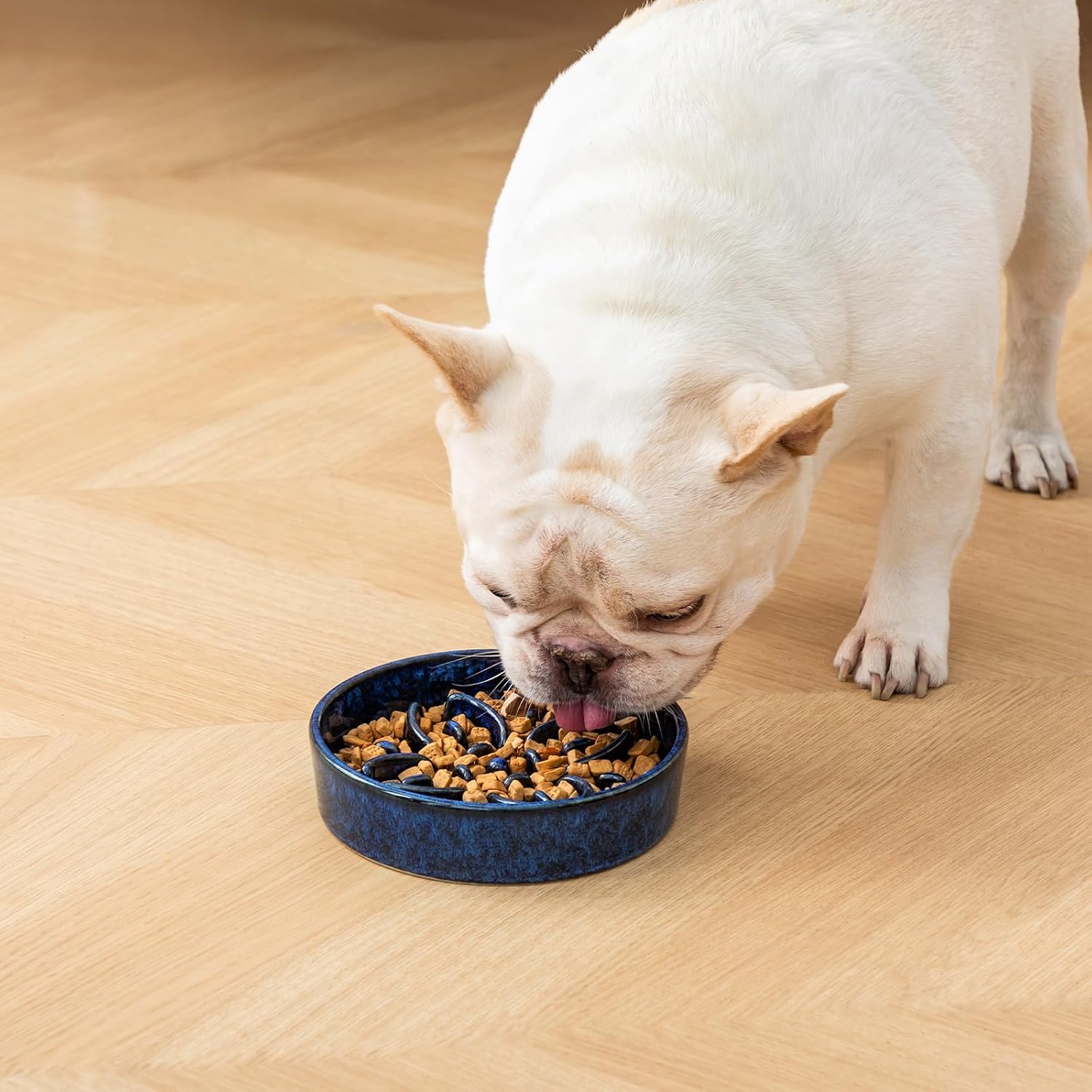 ceramic slow feeder dog bowl