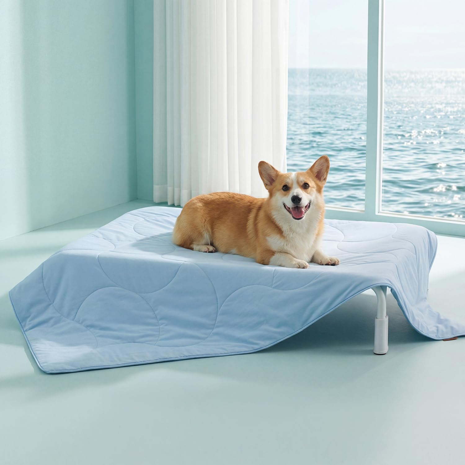 cooling dog blanket