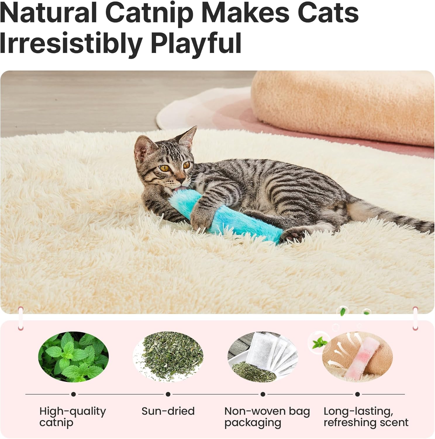 crinkle cat toys