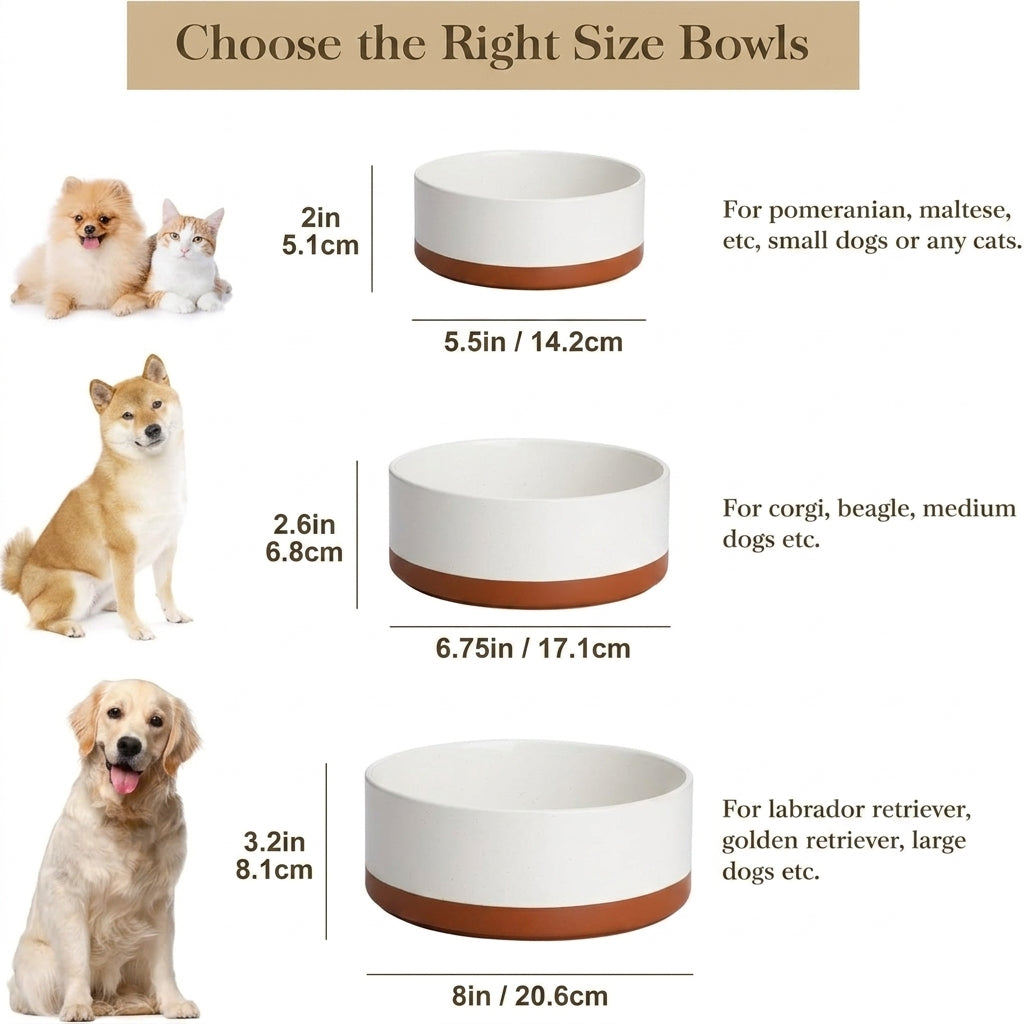 dishwasher safe pet bowl