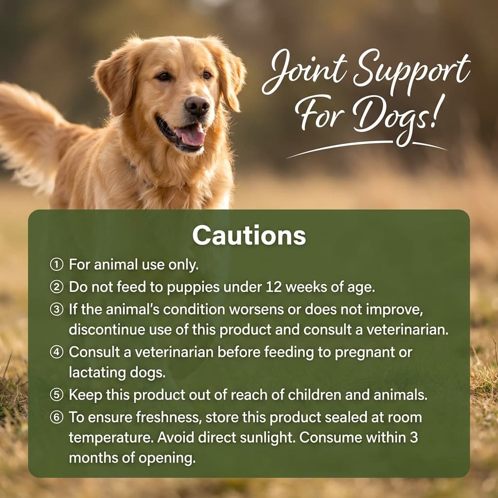 dog joint supplement1