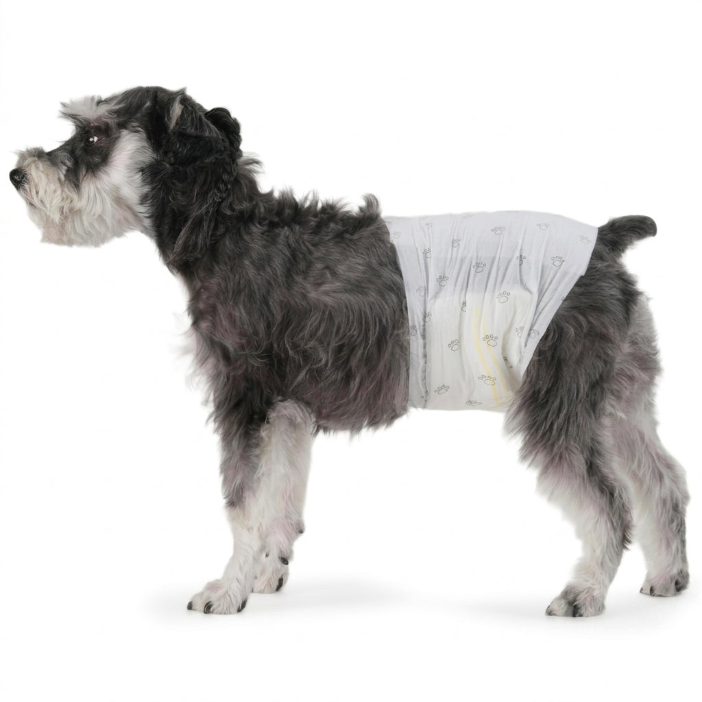 male dog wraps
