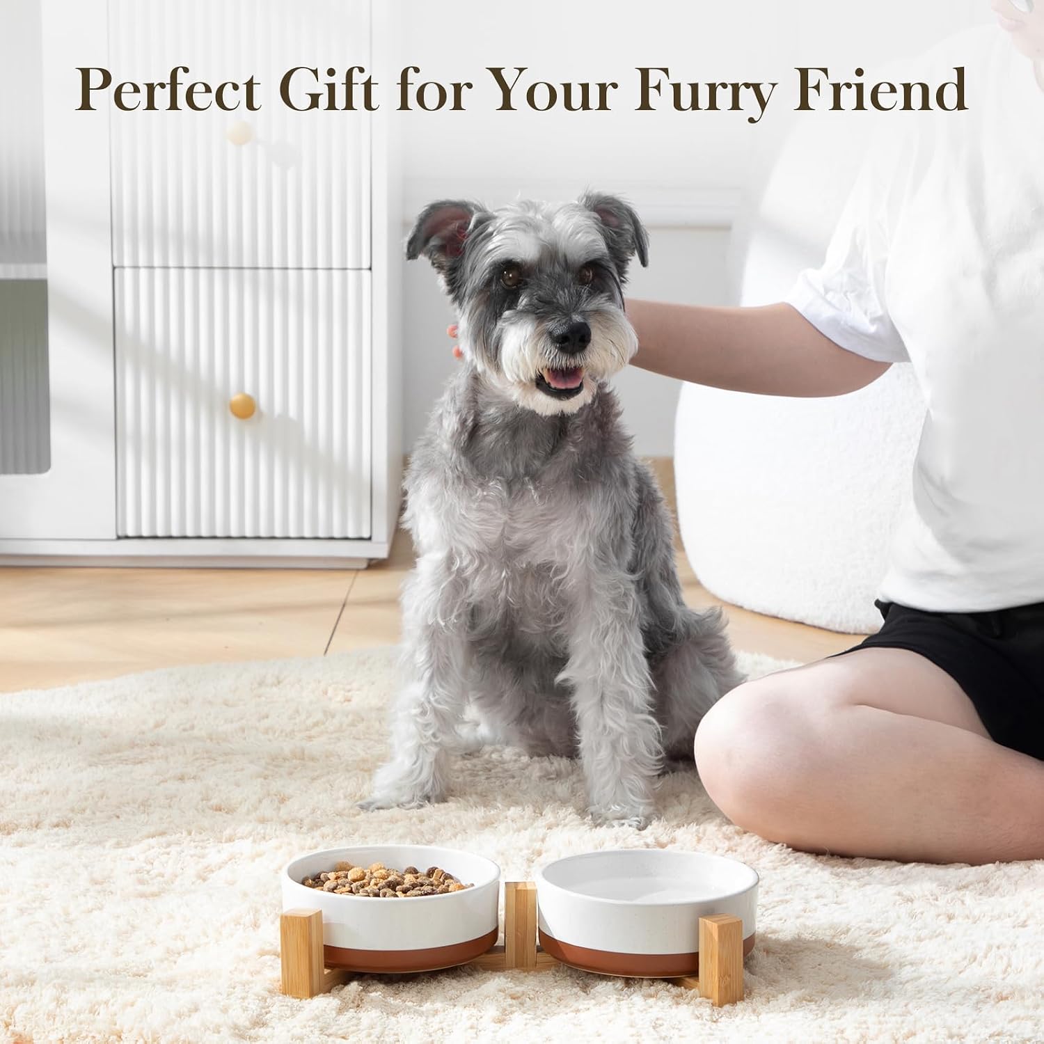 microwave safe ceramic puppy bowl with bone print