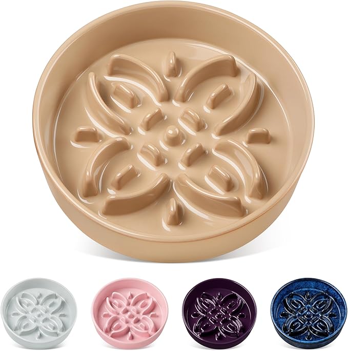 puzzle dog bowl