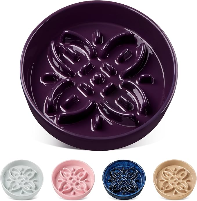 slow feeder ceramic