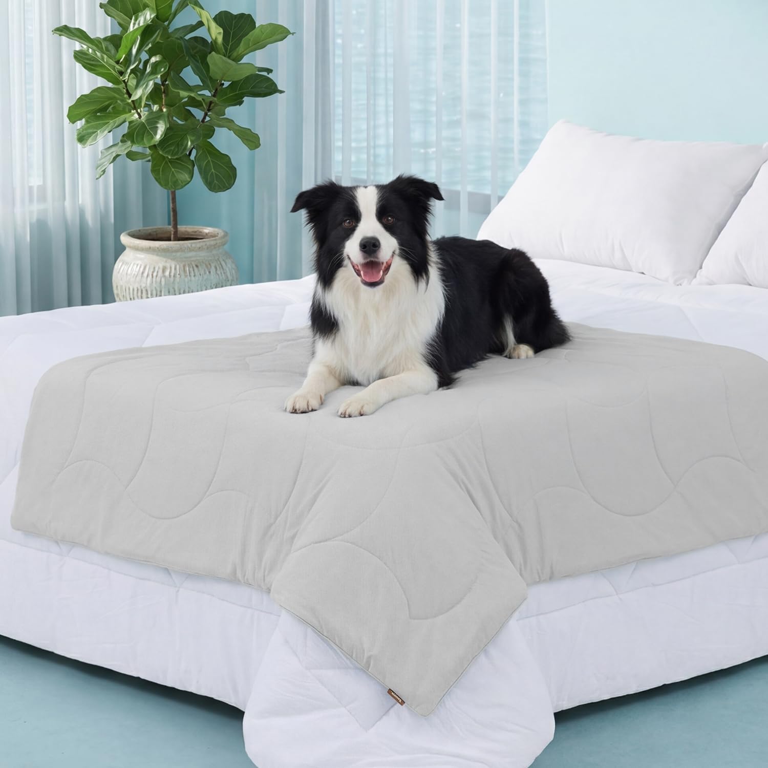 summer cooling blanket for dogs